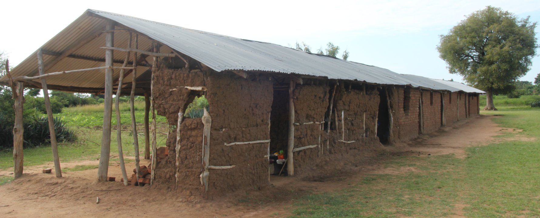 Kadok Primary Appeal